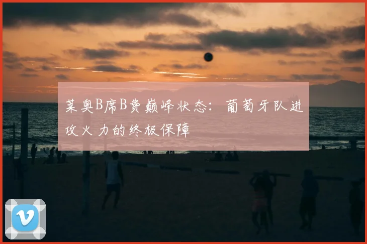 莱奥B席B费巅峰状态：葡萄牙队进攻火力的终极保障