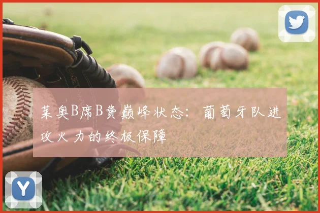 莱奥B席B费巅峰状态:葡萄牙队进攻火力的终极保障